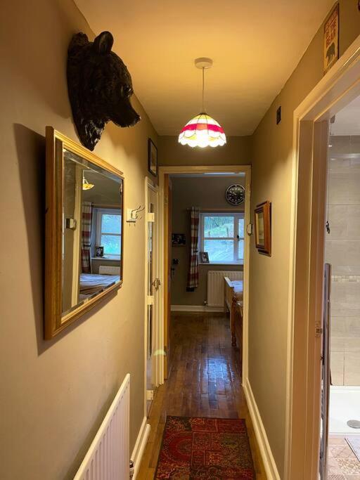 Apartment Bear Cottage, Tyn Y Cwm